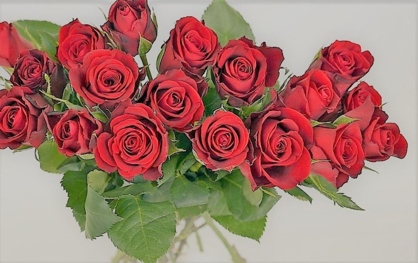 TOP 10 najlepszych kwiaciarni w Chełmie według opinii w Google