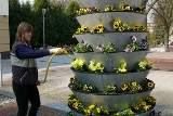 Sadzą drzewa i kwiaty w centrum Bełchatowa