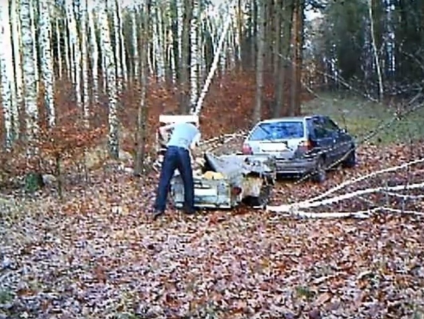 Leśnicy walczą ze złodziejami m.in. przy pomocy fotopułapek.