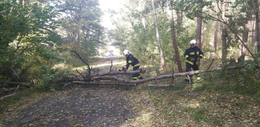 Kolejne zniszczenia na terenie gminy Lubin Strażacy z OSP interweniują
