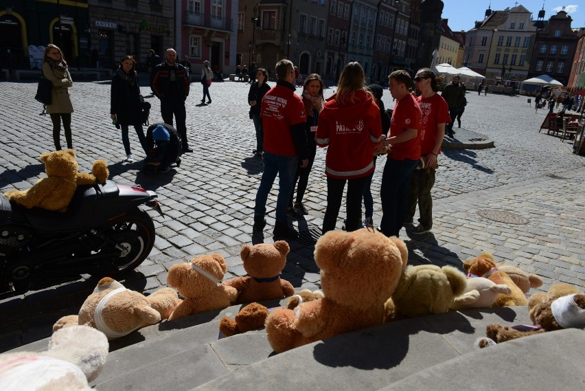Nie bij mnie - kochaj mnie: Misie na Starym Rynku w Poznaniu