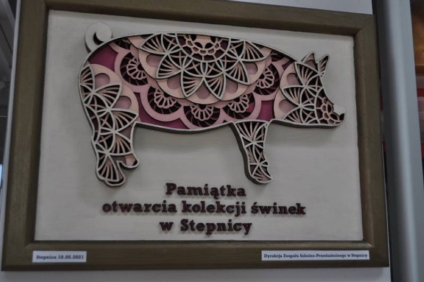 Imponująca kolekcja świnek-skarbonek w Bibliotece w Stepnicy