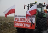Protest rolników w powiecie gnieźnieńskim. Jakie są ich postulaty?