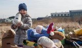 Tylu uchodźców z Ukrainy przybyło do Polski. Opublikowano najnowsze dane