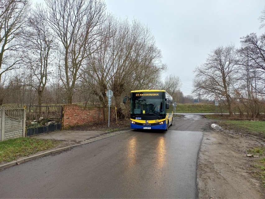 Autobusy nowej linii nr 21 w Kaliszu manewrują po ścieżce...