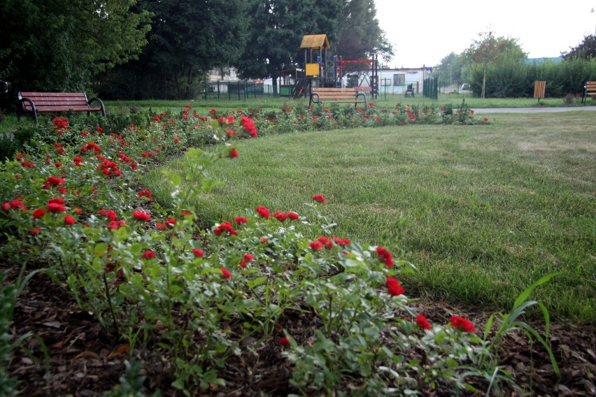 Mieszkańcy dzielnicy cieszą się z nowego parku