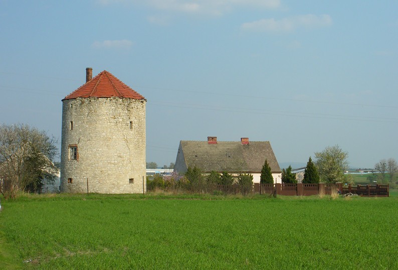 Wiatrak w Rogowie Opolskim