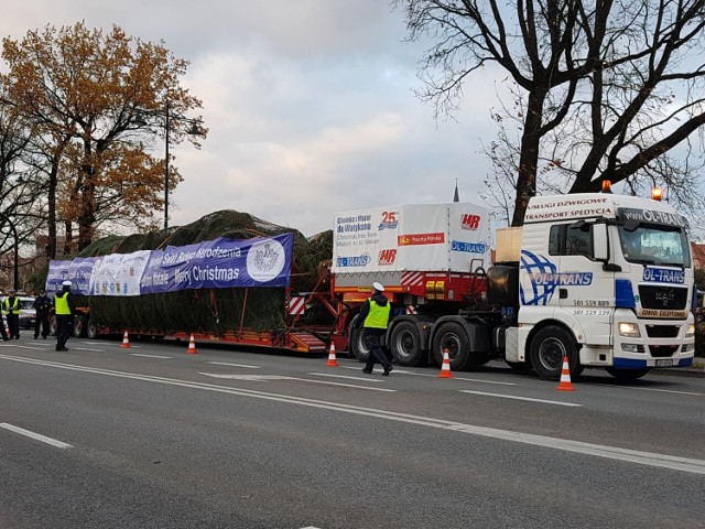 22 listopada choinka trafi do Watykanu