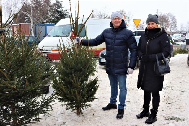 Duży wybór choinek na łęczyckim targowisku --> ZDJĘCIA