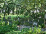 Piotrków wielokulturowy: Historyczne miejsca, budowle i pomniki ZDJĘCIA