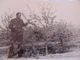 Sad w Józefowie nad Wisłą na archiwalnych zdjęciach 