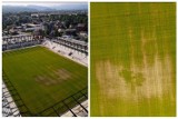 Murawa na nowym stadionie Sandecji pożółkła? Jan Kos z Blackbird: będzie ładna za moment. Radny zaskoczony 