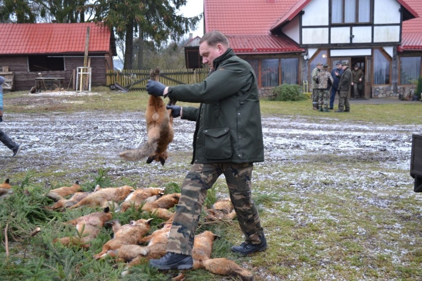 W Pażęcach pod Stężycą już po raz piąty, a siódmy w...