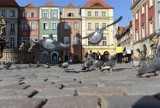 Która dzielnica Poznania pasuje do ciebie?