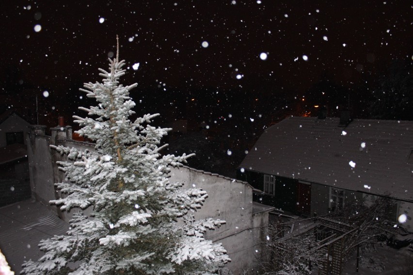Nocna śnieżyca za oknem [zdjęcia]