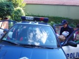 Przedszkole Jedyneczka w Kwidzynie gościło policjantki [ZDJĘCIA]