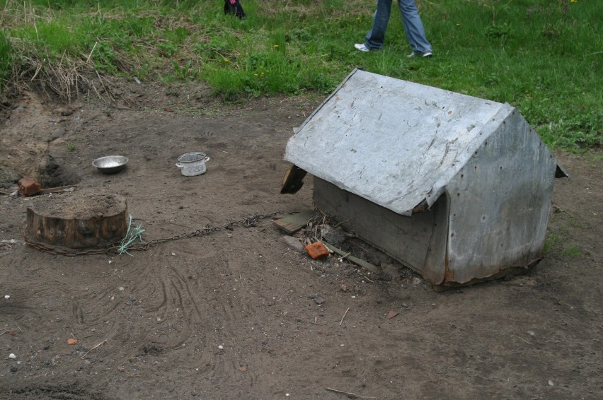 Metal na budzie - zarówno dach jak i tylna ścianka.