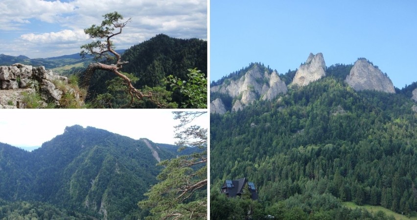 Pieniny - szybka rodzinna wycieczka na weekend