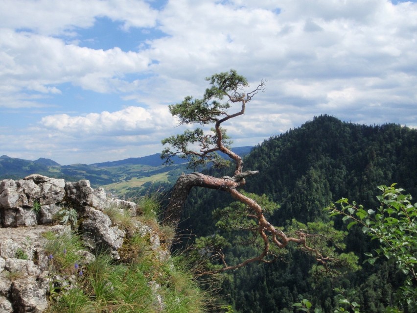 Pieniny - szybka rodzinna wycieczka na weekend