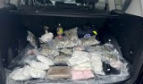 W aucie 44-latka znaleziono narkotyki o wartości 800 tys. złotych! ZDJĘCIA