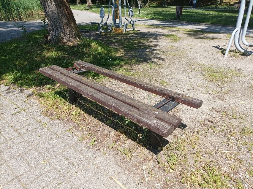 Tak się prezentuje ławka w parku