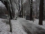 Pogoda w Koszalinie i regionie. Zima zostanie z nami na dłużej. Ale silniej zaatakuje dopiero w czwartek [ZDJĘCIA]