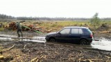 Leśnik nie tylko liczy drzewa w pracy i chodzi z dubeltówką po lesie. Ciekawostki tego zawodu