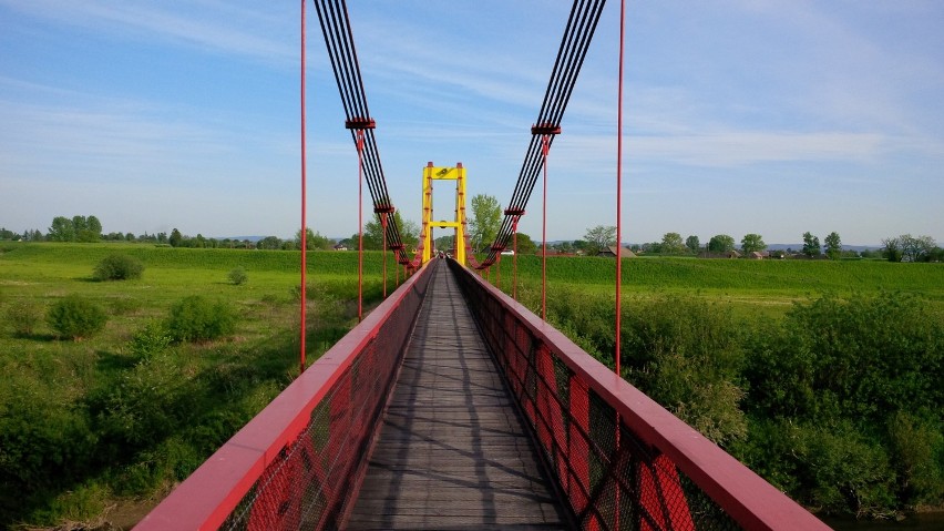 Na Rabie w rejonie Bochni są aż trzy mosty wiszące, w tym...