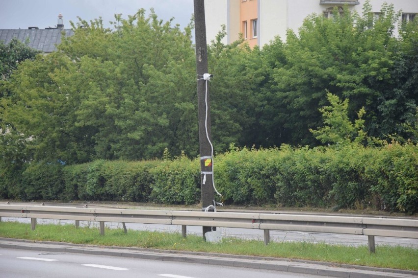 Malbork. Ruch na drogach krajowych zwiększył się od czasu poprzedniego badania. Największe natężenie pojazdów jest na mostach