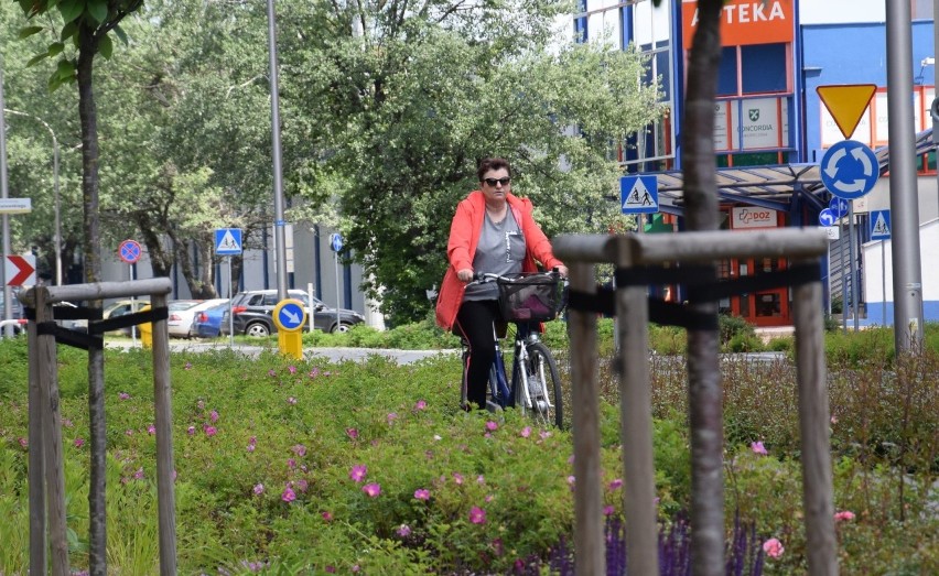 Śródmieście Kędzierzyna-Koźla w zieleni. Centrum wygląda zjawiskowo