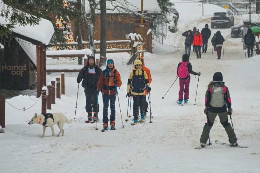 Narciarze skitourowi ruszyli w Tatry