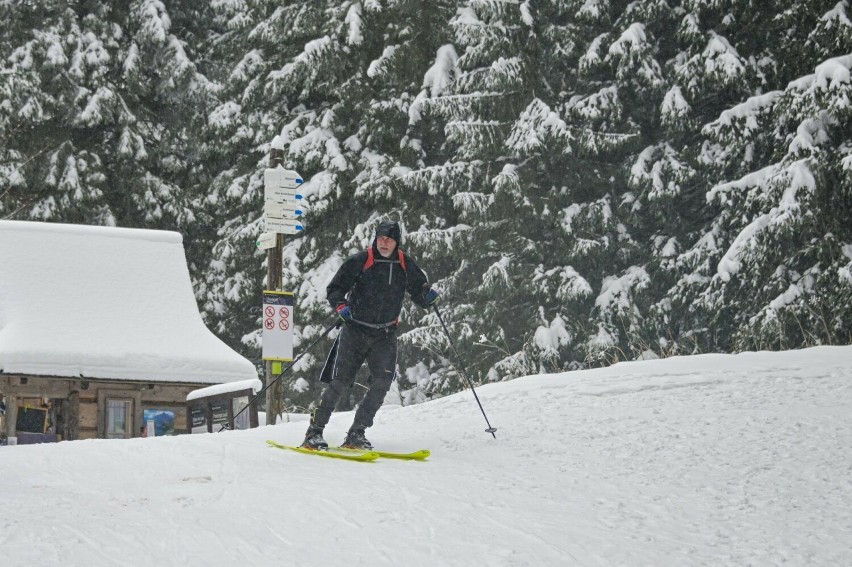 Narciarze skitourowi ruszyli w Tatry