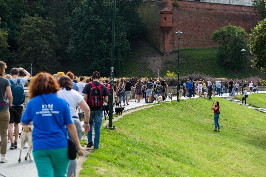 Kraków. Po raz dziesiąty przeszedł niezwykły marsz szczęśliwych psów