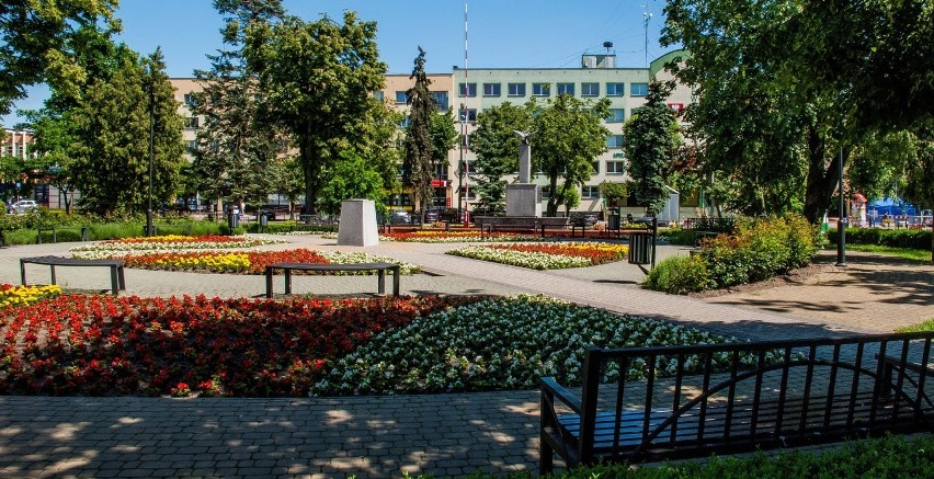 W poprzednich latach w Bielsku Podlaskim kolorowe kwiaty...