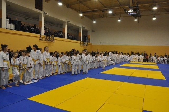 Mikołajkowy Turniej Judo w Mosinie