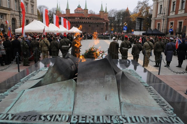 11.11.2014 krakow
plac  matejki swieto niepodleglosci grob nieznanego zolnierza odprawa warty apel poleglych  zlozenie wiencow przemarsz defilada
n/z:
fot: adam wojnar/polska press/gazeta krakowska