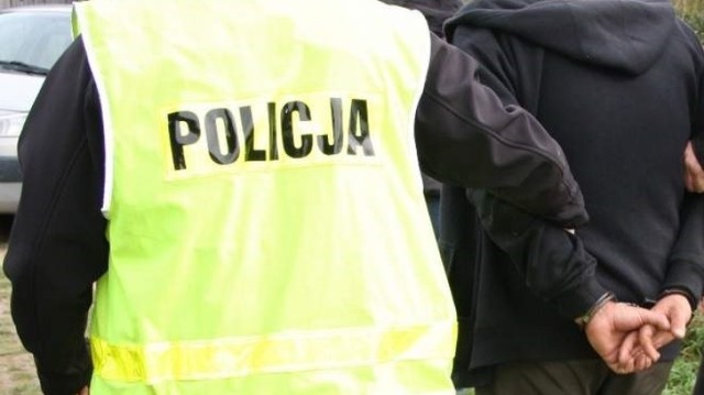 Szczecińscy policjanci zatrzymali trzech sprawców, którzy ...