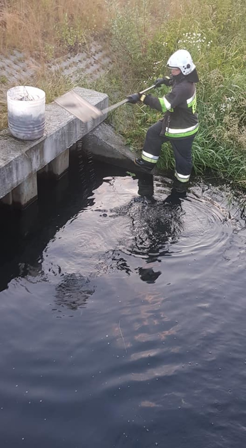 Śnięte ryby w Jastrzębiu. Strażacy pomagali w akcji...