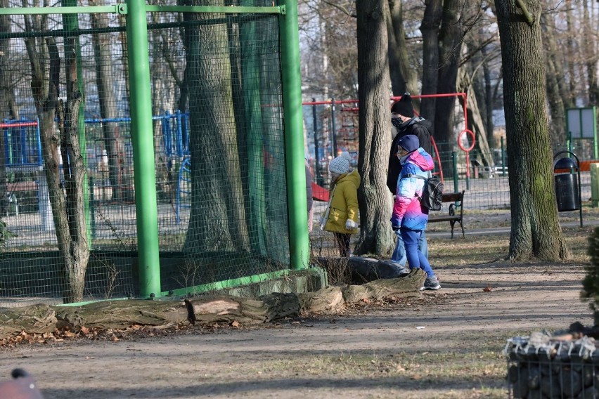 Zima w Parku Wrocławskim, sporo zwierząt nie chowa się w budkach