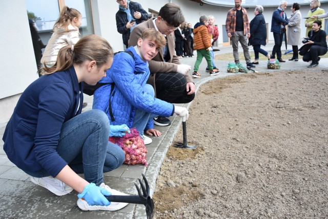 Uczniowie tarnowskich szkół wspólnie z Małopolską Kurator Oświaty, prezes Fundacji Kromka Chleba zasadzili tulipany przed hospicjum