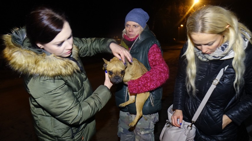 Psy trzymane były w garażu, w boksach i pomieszczeniach...