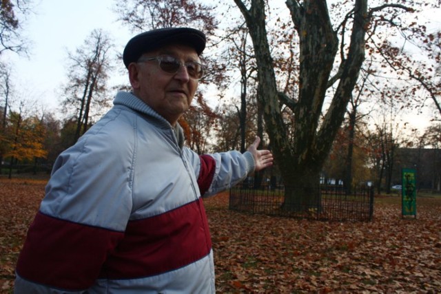 - Co miał w głowie ten pseudoartysta, który zamalował tablicę przy tym zabytkowym platanie? - złości się pan Henryk z Kożuchowa, którego boli to, w jakim stanie jest dziś park.