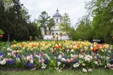 Wiosenny spacer po Warszawie. Piękne rabaty kwietne, wycieczka łódką i wspaniałe tereny zielone. Muzeum Pałacu w Wilanowie zaprasza 