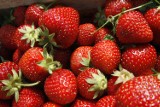 Szczawno-Zdrój organizuje konkurs na potrawy z truskawkami i ma nagrody dla jego zwycięzców