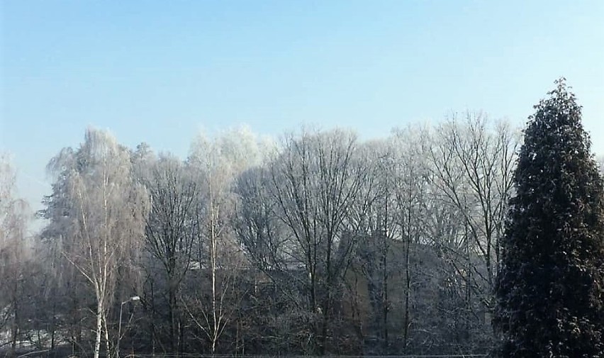 Zima w Jastrzębiu