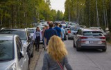 Na Pustyni Błędowskiej ludzi jak na Krupówkach. W słoneczne weekendy są tu tłumy ludzi i pełno samochodów. Zdjęcia