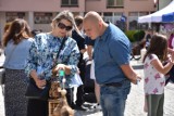 Kolejne niedziele z rękodziełem w Oleśnicy i podziękowanie od organizatorów