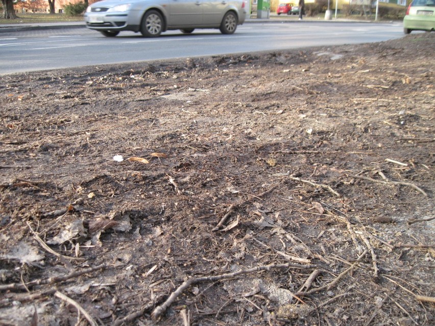 Zgniłe liście i błoto na skrzyżowaniu Sowińskiego i Radziszewskiego w Lublinie 
