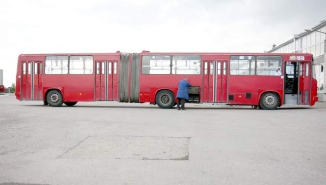 Nie stary trolejbus, ale przegubowy autobus marki Ikarus ...