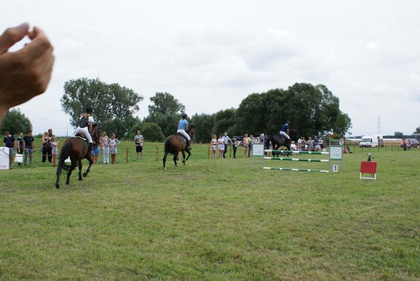 Odbyły się drugie zawody jeździeckie organizowane przez Fundację Karino